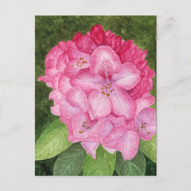 Pink Azalea Art Postcard (Front)