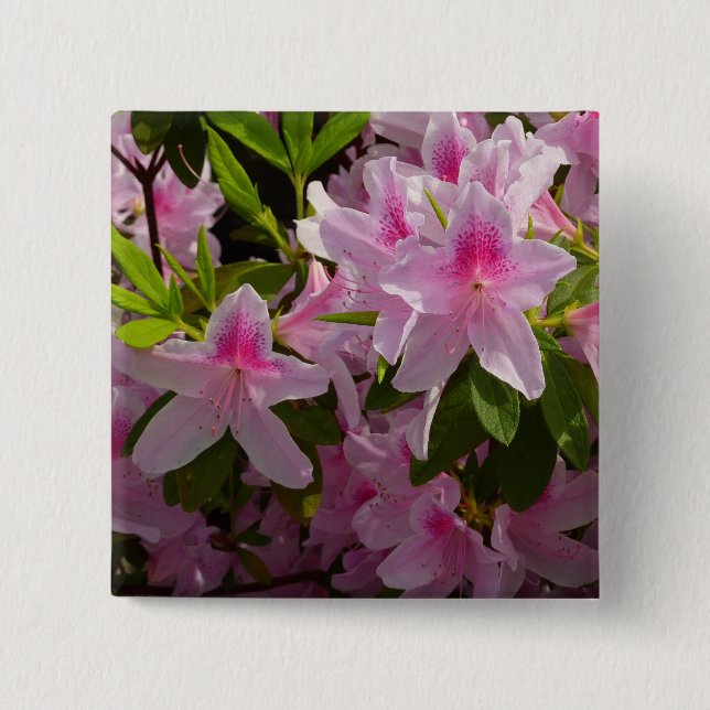 Pink Azalea Bush Spring Floral 15 Cm Square Badge (Front)