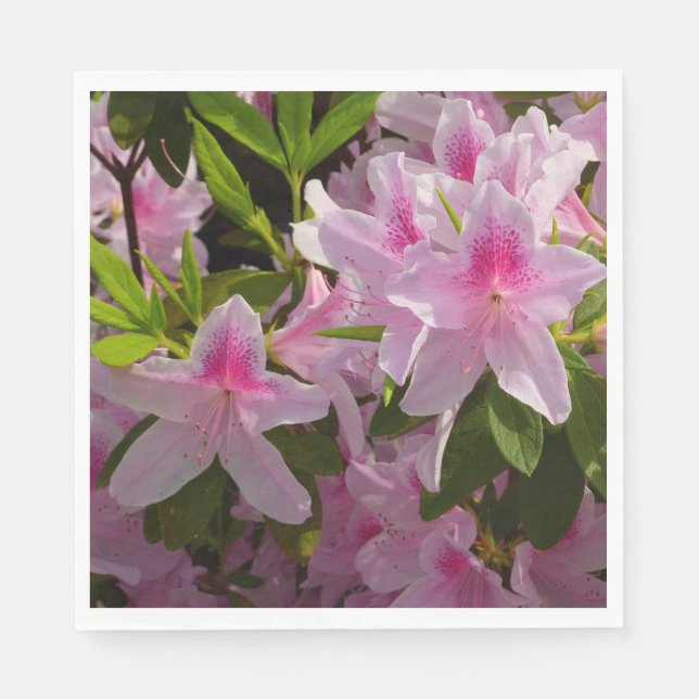 Pink Azalea Bush Spring Floral Napkin (Front)