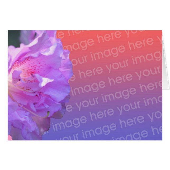 Pink Azalea Flower Photo Card (Front Horizontal)