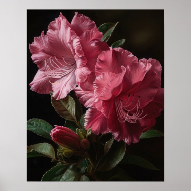 Pink Azalea Flowers Art Print Poster (Front)