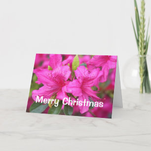 pink azalea flowers Christmas, holiday gift Card