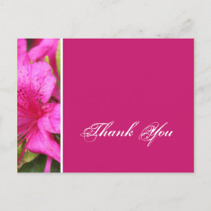 Pink azalea flowers thank you postcards