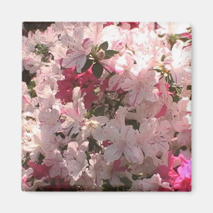 Pink Azalea Magnet