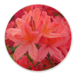 Pink Azalea Rhododendron Flowers Ceramic Knob