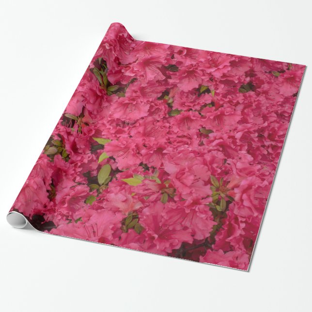 Pink Azalea Wrapping Paper (Unrolled)