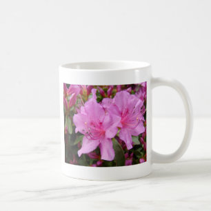 PINK AZALEAS 3 Azalea FLOWERS Cards Gifts Mugs