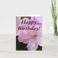 Pink Azaleas Birthday