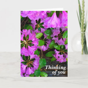 Pink Azaleas flowers, rustic backyard woodgrain  Card