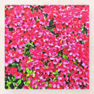 Pink Azaleas Glass Coaster