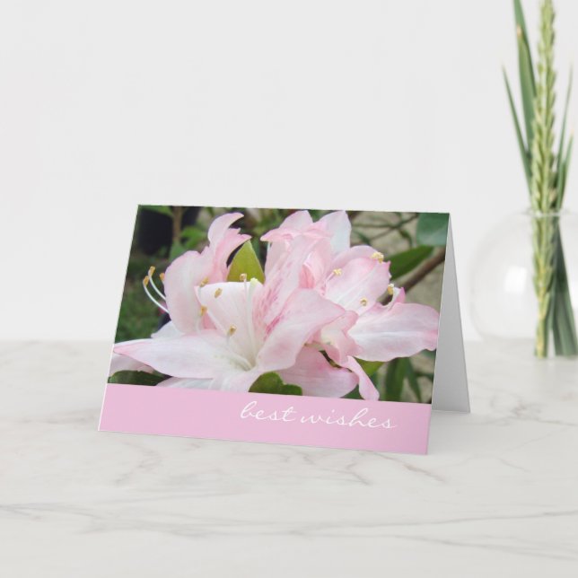 Pink Azaleas Greeting Card (Front)