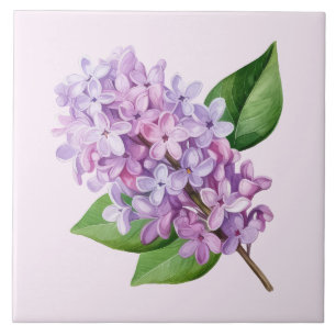 Pink Background Lilac Blossom Art Ceramic Tile
