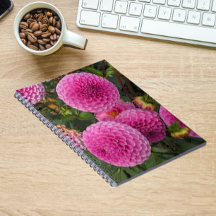 Pink Ball Dahlias Floral Notebook