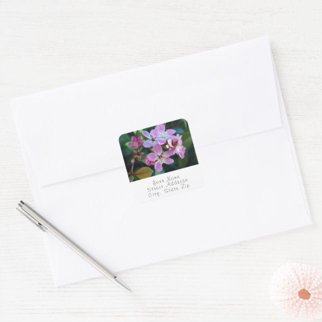 Pink Ballerina Blossoms labels (Envelope)
