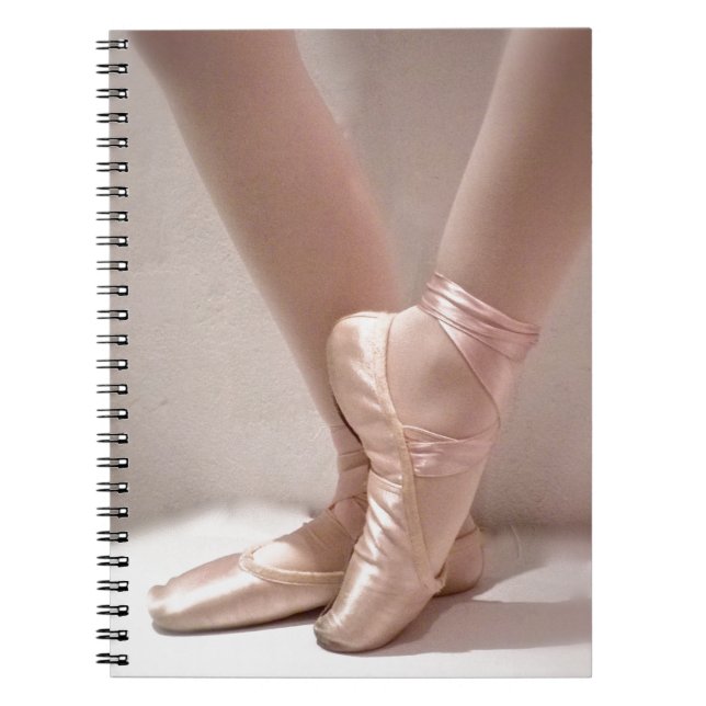 Pink Ballet Slippers Notebook (Front)