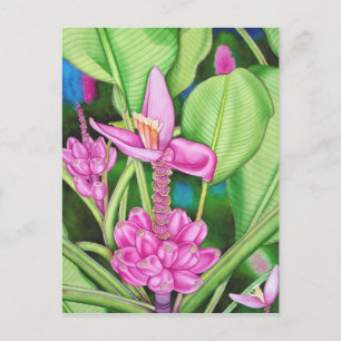 Pink Bananas Postcard