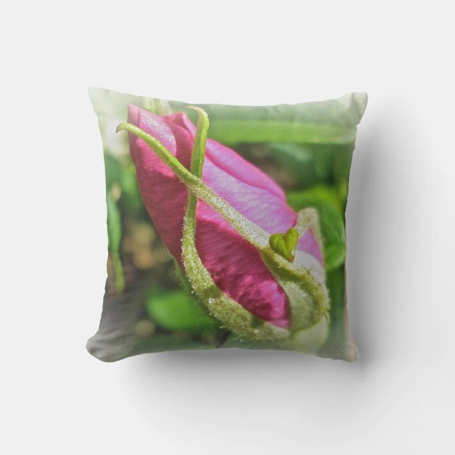 Pink Beach Rose Rosebud Cushion (Front)