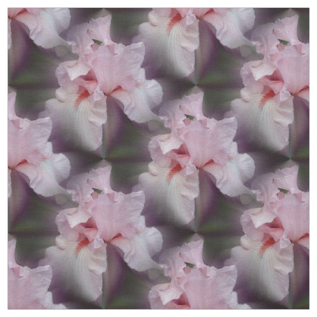 Pink Bearded Iris Flower Nature Pattern Fabric (Swatch)