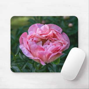 Pink Beauty: Captivating Peony Photography Mouse Pad
