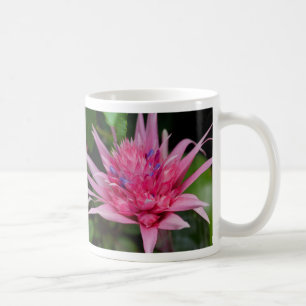 Pink Beauty Coffee Mug