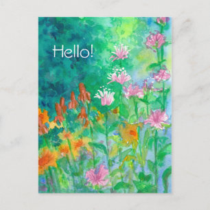 Pink Bee Balm Flower Garden Hello Postcard