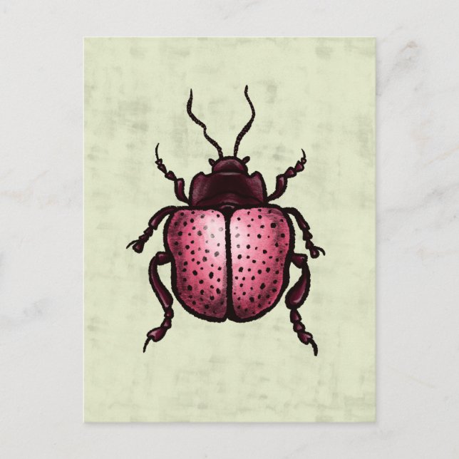Pink Beetle Cute Bug Art - Insect Lover Postcard (Front)