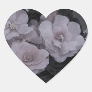 Pink Begonias Resting On Bench Heart Sticker