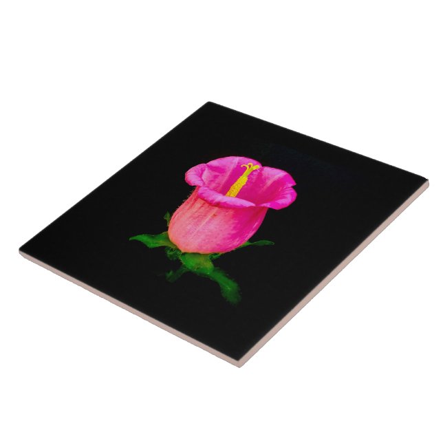 Pink Bellflower on Black Ceramic Tile (Side)