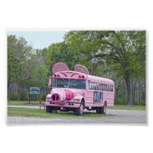 Pink Ben Wheeler, Texas, Hogfest Bus Photo Print