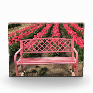 Pink Bench with Pink Tulips Photo Block