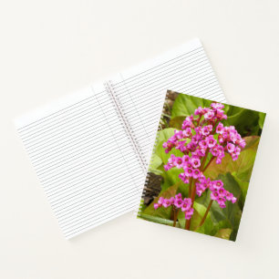 Pink Bergenia Flowers Floral Notebook