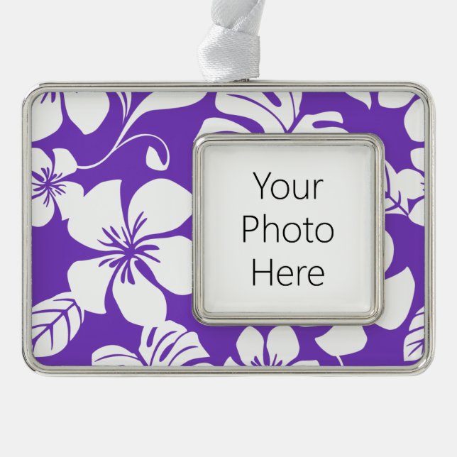 PINK BIKINI (GRAPE) SILVER PLATED FRAMED ORNAMENT (Front)