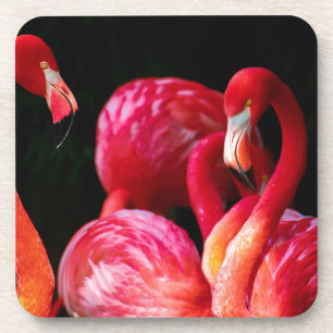Pink Bird Birds flamingo Coaster