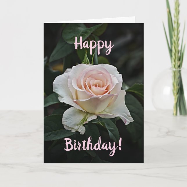 Pink Birthday Rose Birthday Card (Front)