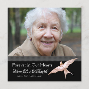 Pink Black Dove Womans Photo Funeral Announcements