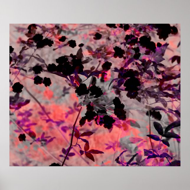 Pink black romantic asian style flower pattern art poster (Front)