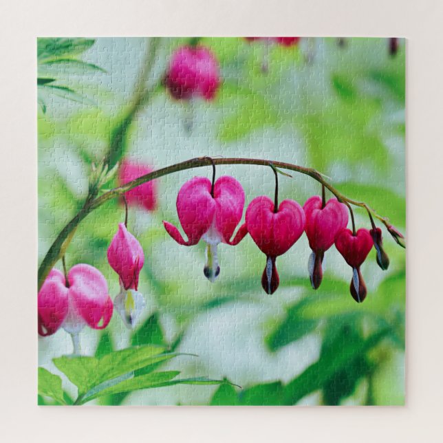 Pink Bleeding heart Flower Jigsaw Puzzle (Vertical)