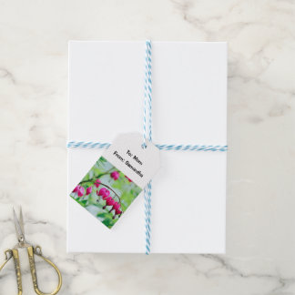 Pink Bleeding heart Flower Pretty Elegant Gift Tags