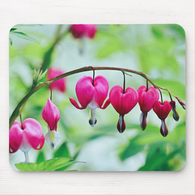 Pink Bleeding heart Flower Pretty Elegant Mouse Pad (Front)
