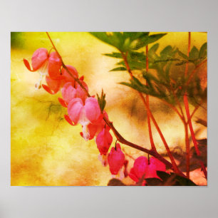 Pink Bleeding Hearts Flowers Distressed Art Poster