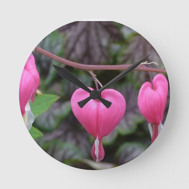 Pink Bleeding Hearts Round Clock (Front)