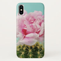 Pink Bloom Atop Spiky Cactus