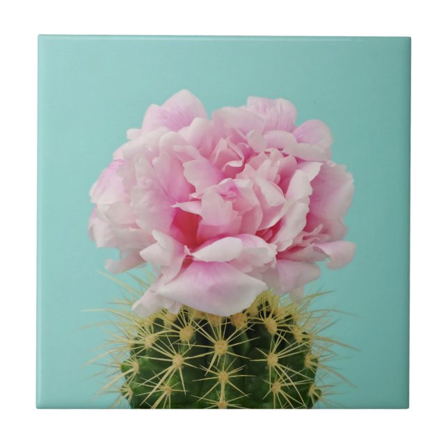 Pink Bloom Atop Spiky Cactus Ceramic Tile (Front)
