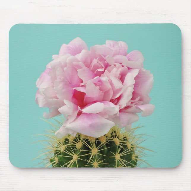 Pink Bloom Atop Spiky Cactus Mouse Pad (Front)