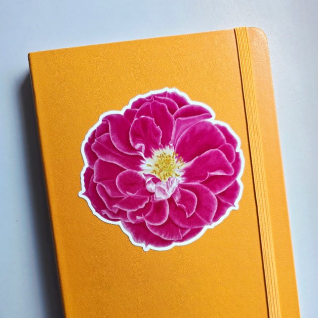 Pink Blooming Rose Botanical Art Sticker (This is a sticker I ordered myself in the Glossy White 4 inch size.)