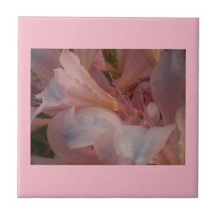 Pink Blooms Ceramic Tile