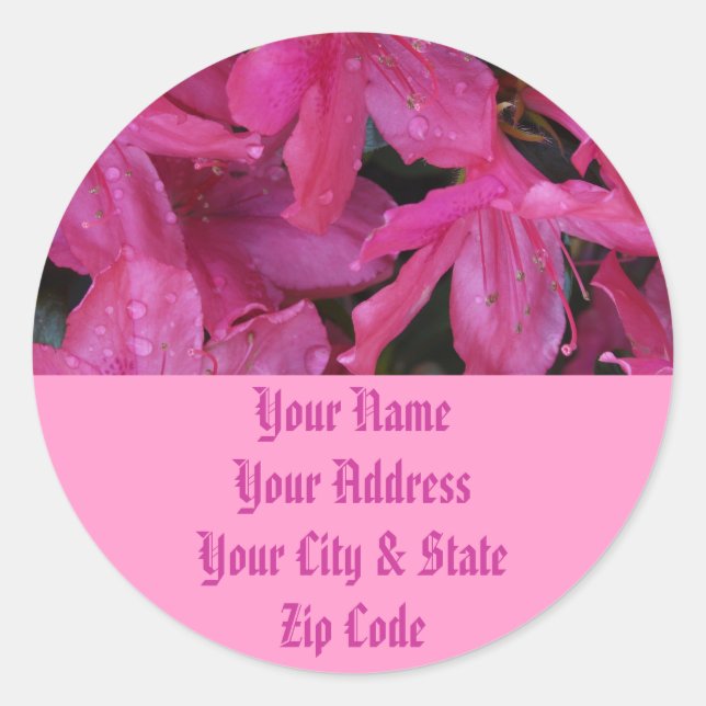 Pink Blooms Classic Round Sticker (Front)