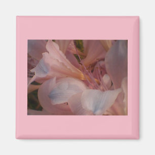 Pink Blooms Magnet