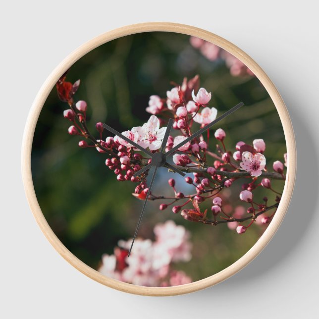 Pink Blossom in the warm summer light Clock (Front)