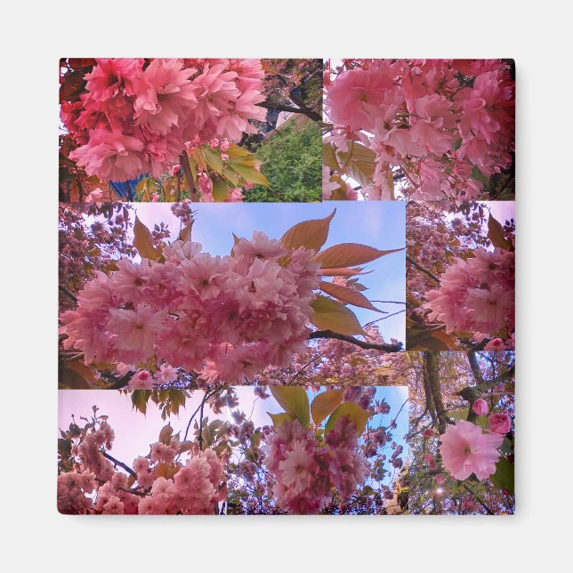 Pink blossom magnet (Front)